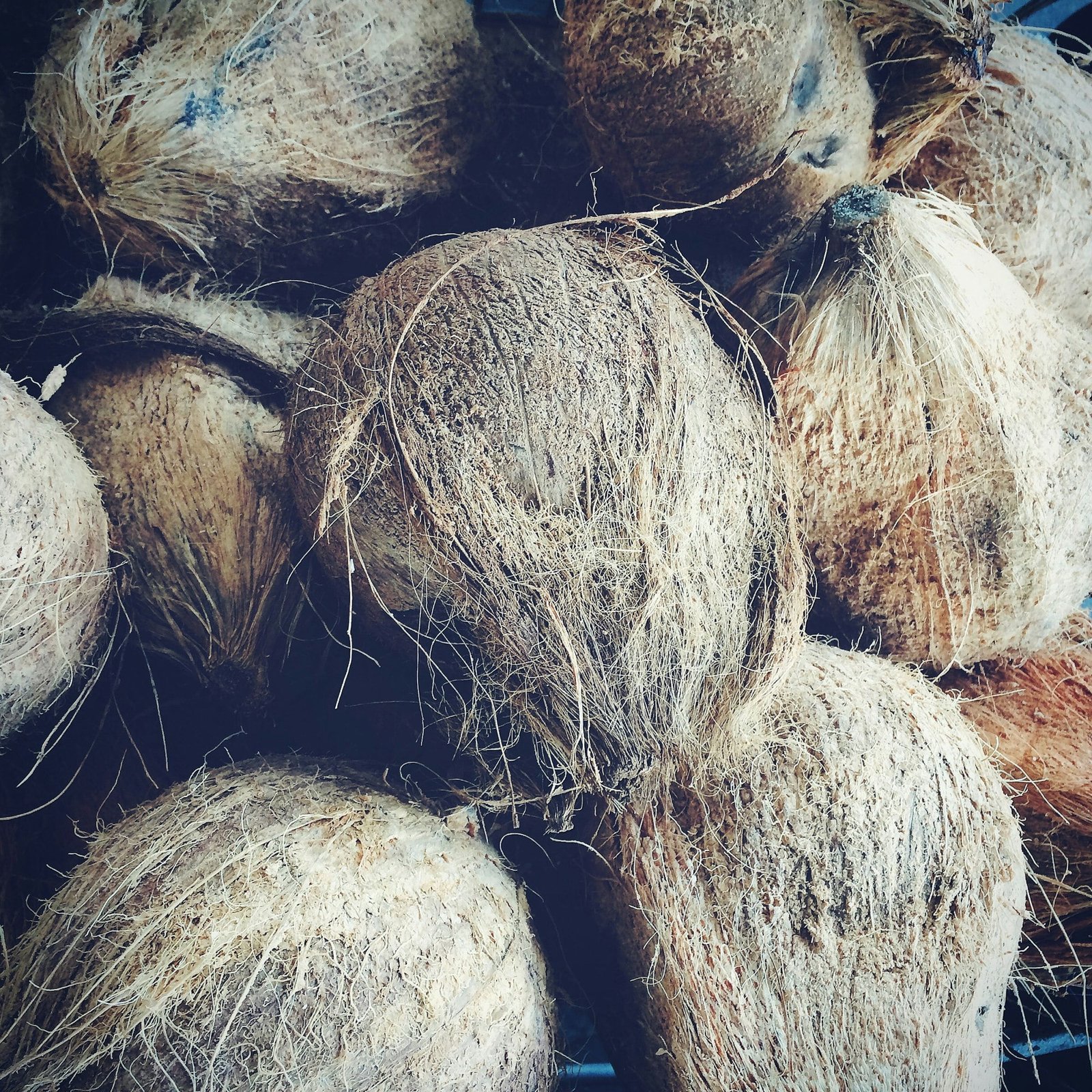 Tropical nuts